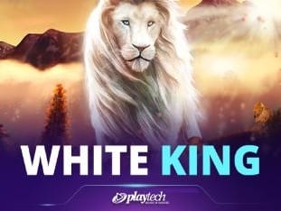 White King screenshot